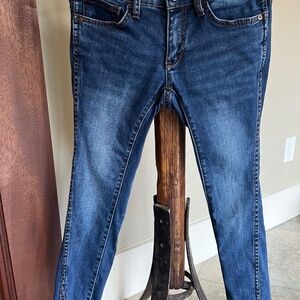 Pilcro & The Letterpress by Anthropologie Mid Rise Skinny Jean Petite